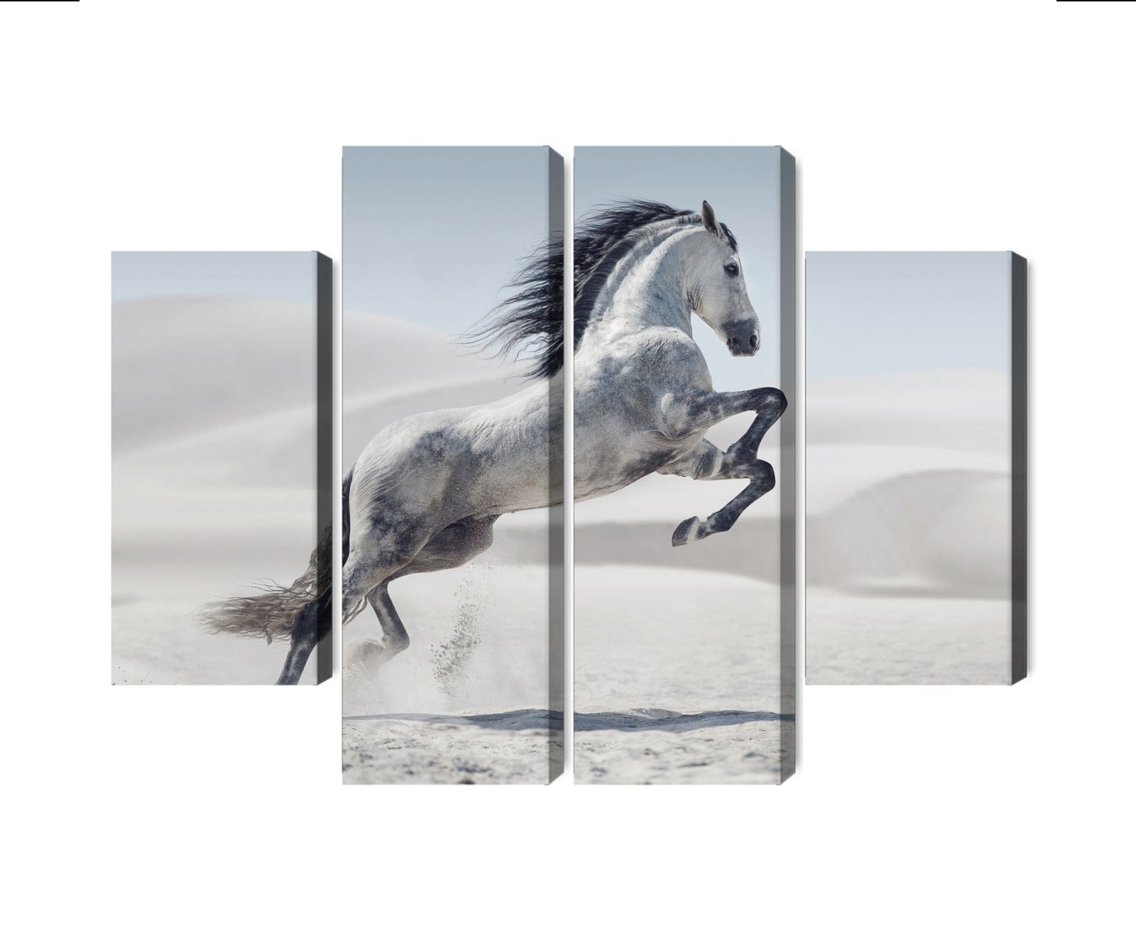 Kanva - Zirgs tuksnesī 3D, N-4606 X-ART