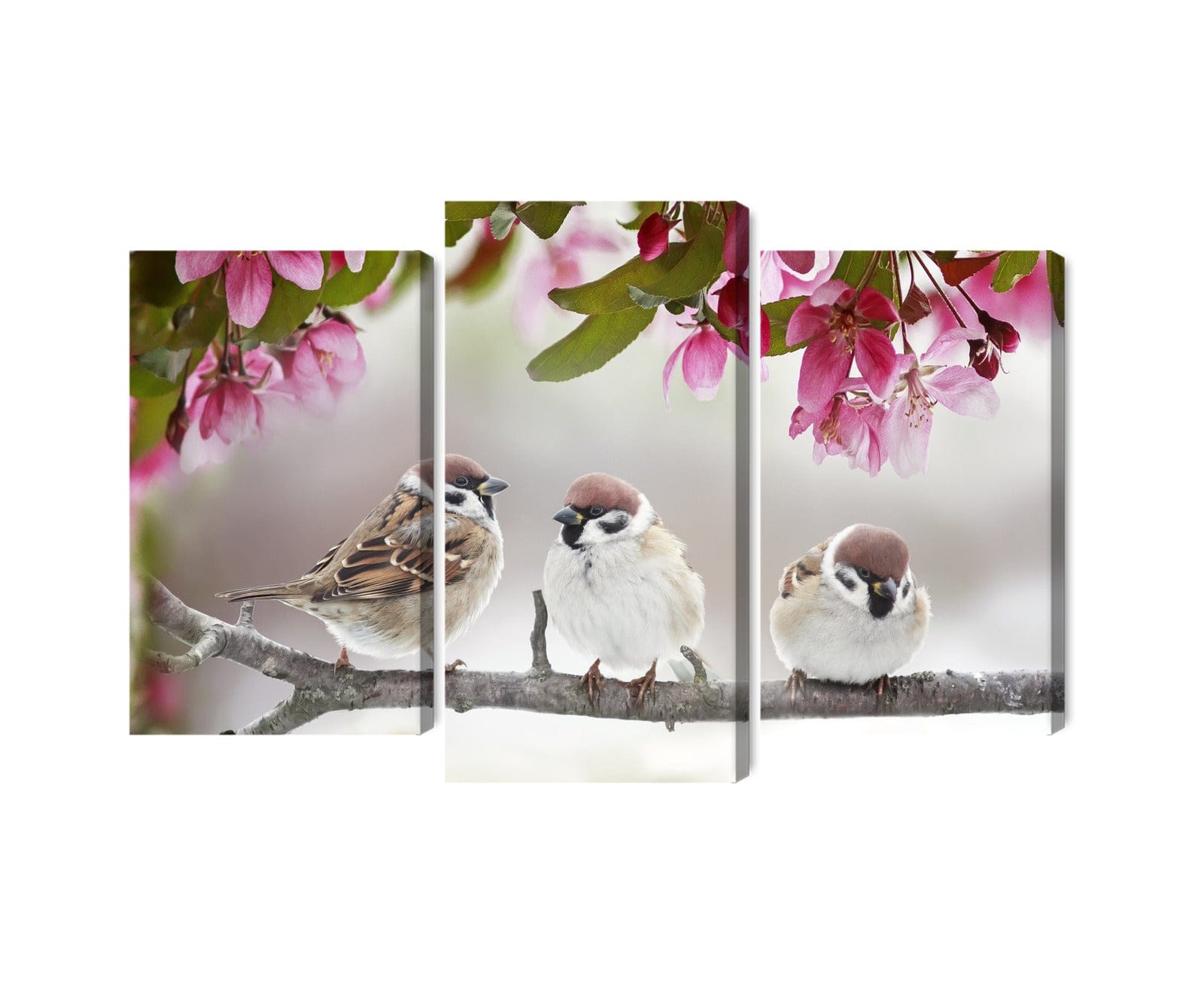 Kanva - Zvirbuļi starp ziediem, N-4020 X-ART