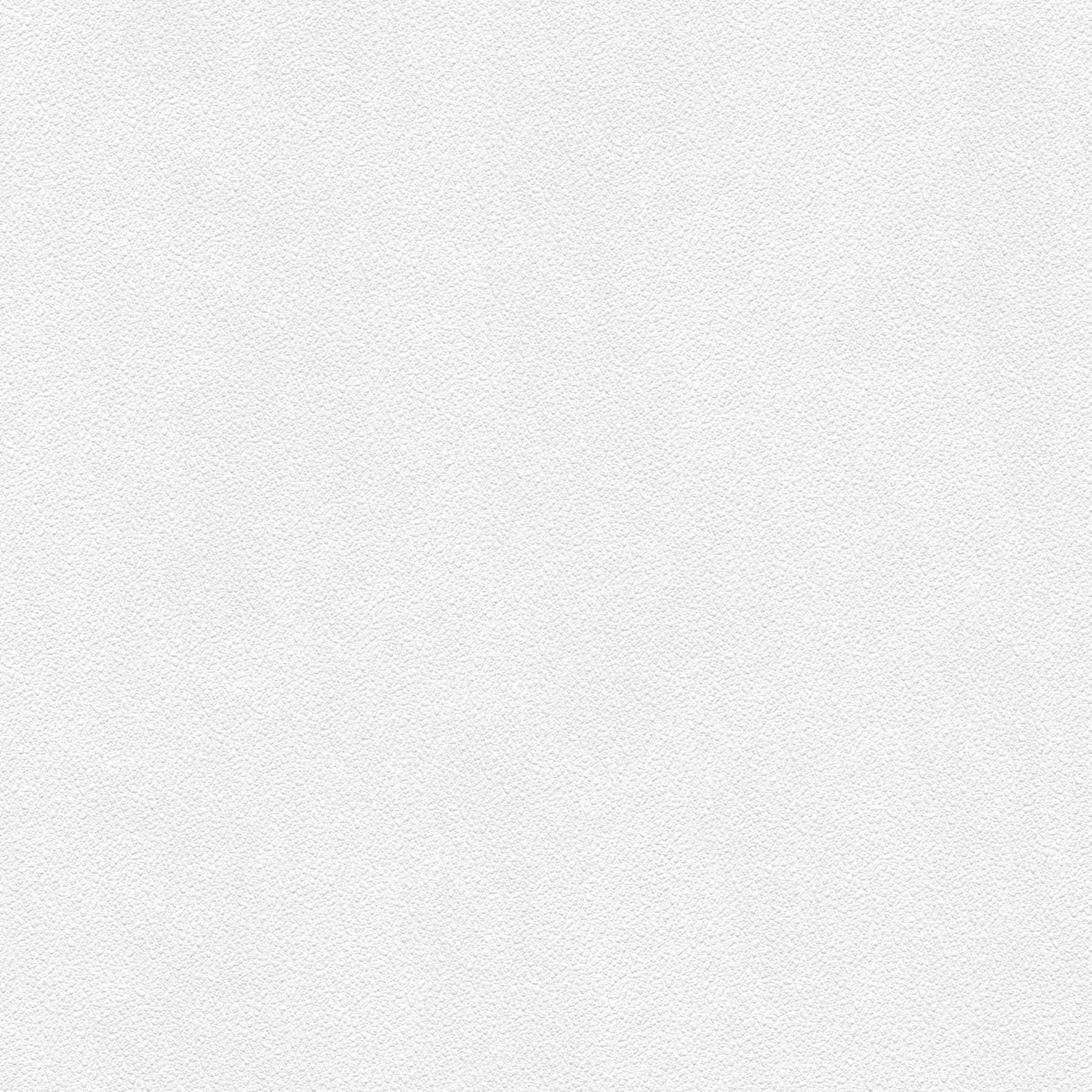 Krāsojamas tapetes - ziloņu ādas struktūra, 307271, ekoloģiskas AS Creation