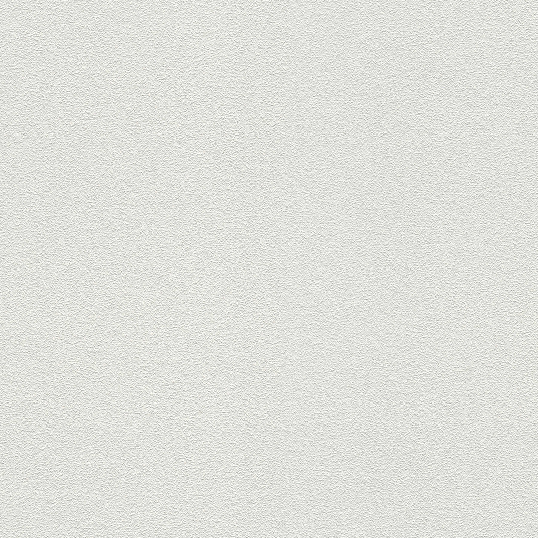 Krāsojamas tapetes ar smalku rakstu AS Creation 103819 (0.53x10m) AS Creation