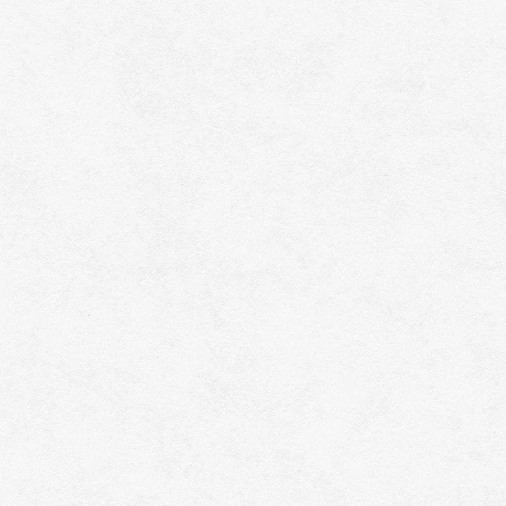 Absolūti gludas krāsojamas tapetes AS Creation 953131 (0.75x25m) AS Creation