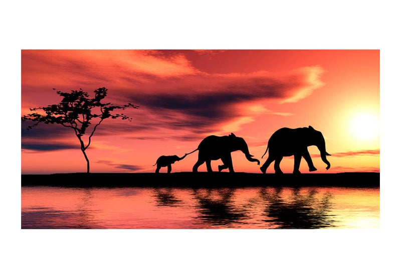 Suurikokoinen Valokuvatapetti - Elefanttiperhe (550x270 cm) G-ART