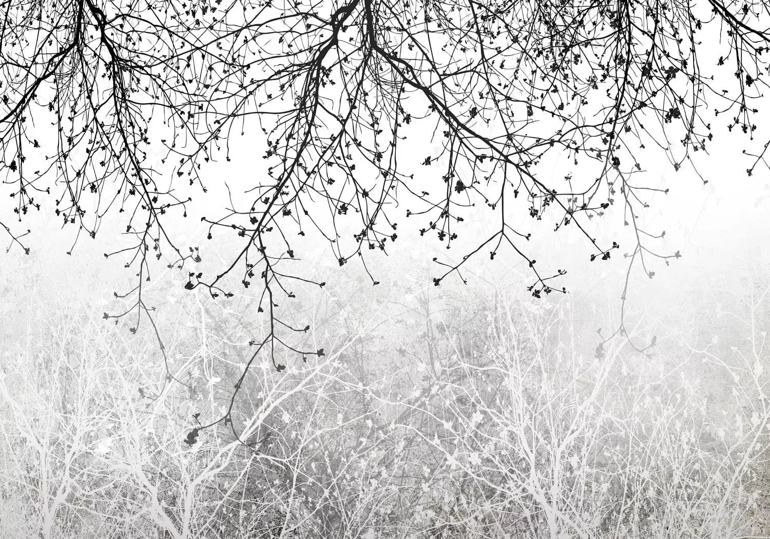 Melnbaltas fototapetes ar koka zariem - ideja viesistabai G-ART