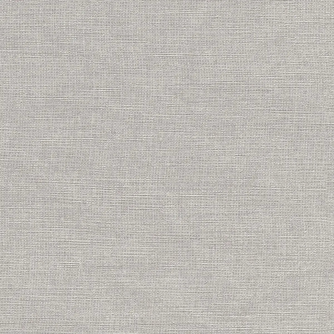 Wallpaper 1612227 | A sophisticated light grey shade with a matt texture