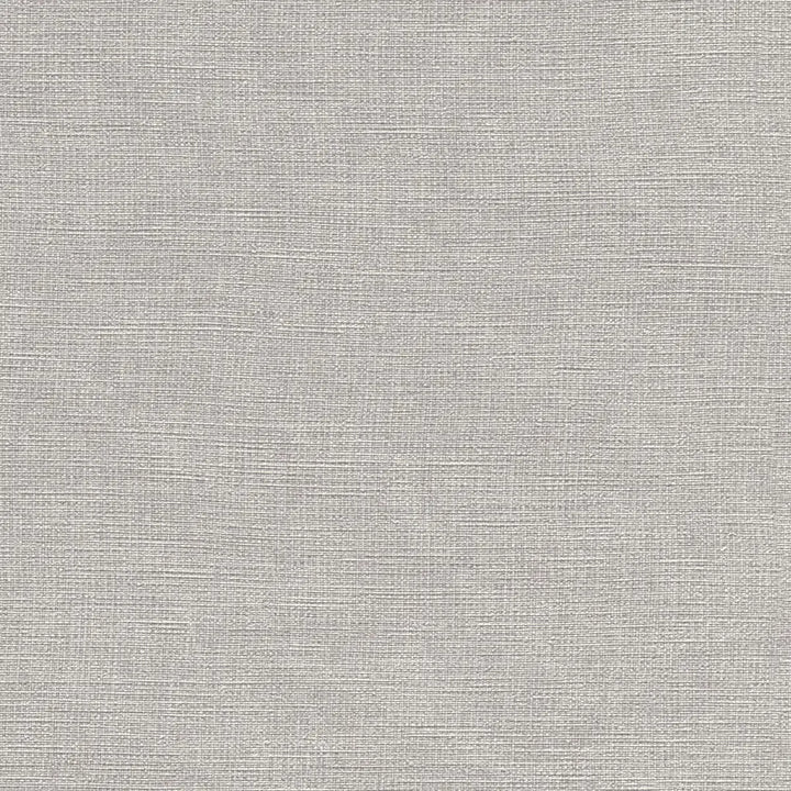 Wallpaper 1612227 | A sophisticated light grey shade with a matt texture