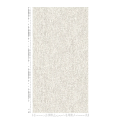 Wallpaper with stucco look in light grey, 1404551 AS Creation