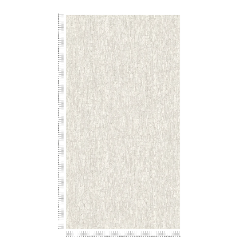 Wallpaper with stucco look in light grey, 1404551 AS Creation