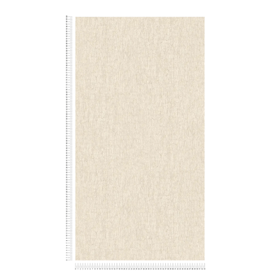 Wallpaper with a plaster look in warm beige tones, 1404550 AS Creation