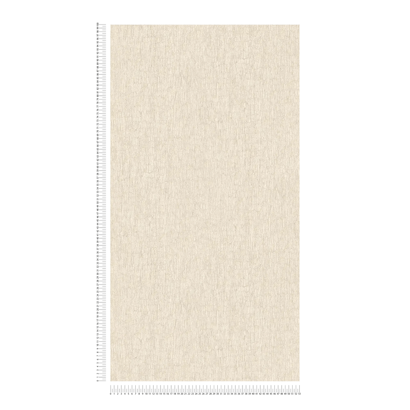 Wallpaper with a plaster look in warm beige tones, 1404550 AS Creation
