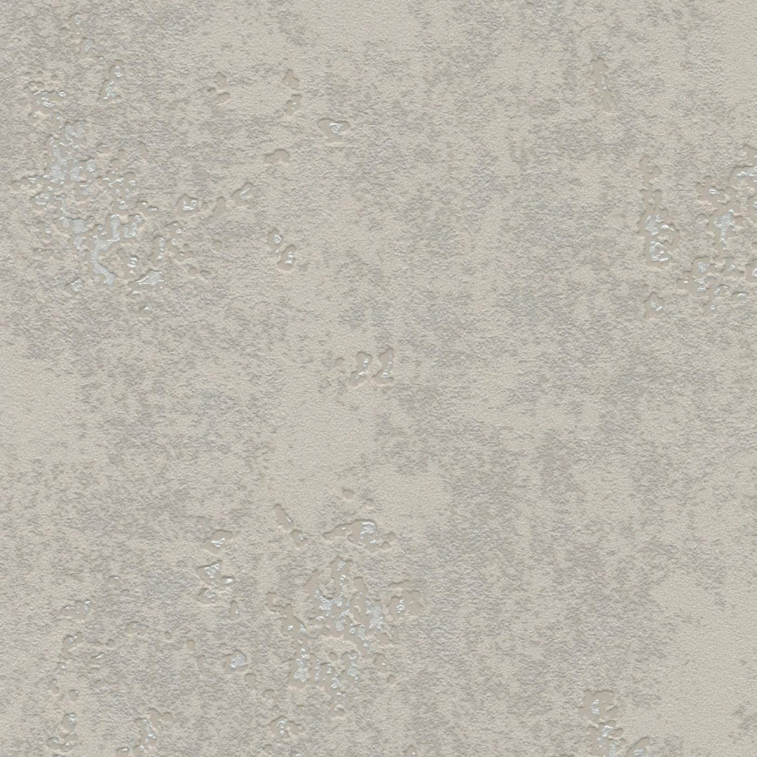 Tapetes ar apmetuma rakstu taupe krāsā ar sudraba akcentiem, 315721 RASCH
