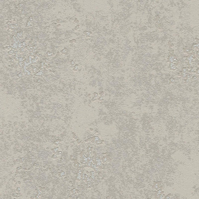 Wallpaper with plaster pattern in taupe with silver accents, 1150511 RASCH