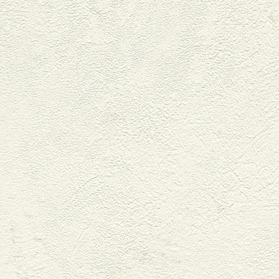 Tapetes ar dekoratīva apmetuma rakstu baltā krāsā, RASCH 1456224 RASCH
