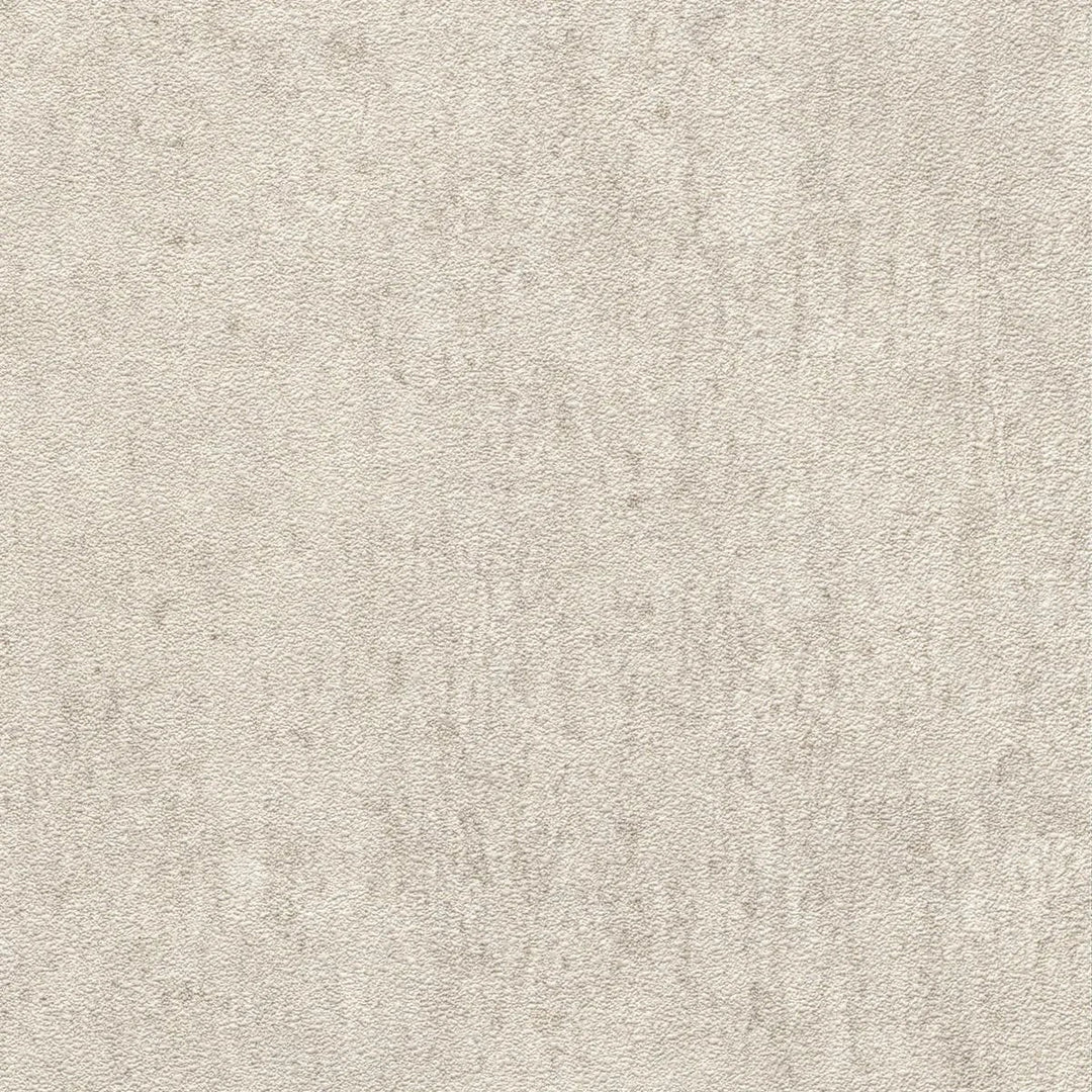 Taupe tapetes ar dekoratīvu apmetuma tekstūru – apskatīt istabā Erismann