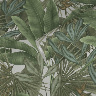 Wallpaper with jungle leaf pattern and colourful accents, green, 1406270 AS Creation