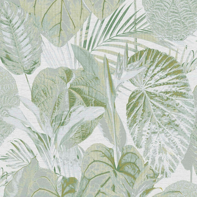 Jungle wallpaper, matt: green, white, 1400522 AS Creation