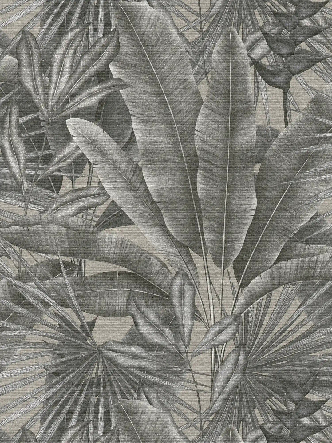 Tapetes viesistabai ar lapu rakstu džungļu stilā, pelēkā krāsā, 396473 AS Creation