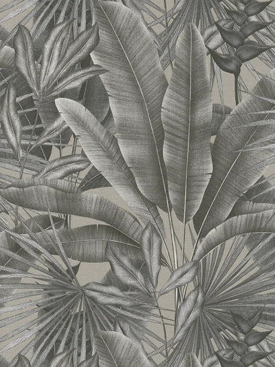 Wallpaper with jungle leaf pattern, grey, 1406271 AS Creation