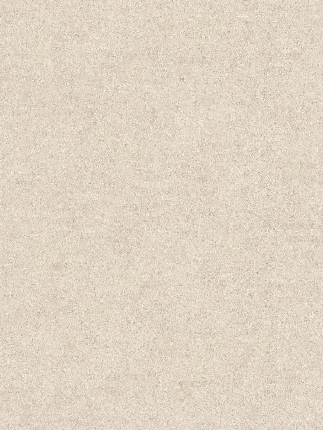 Tapetes ar smalku tekstūru - elegants dizains - bēšā krāsā, 369249 AS Creation