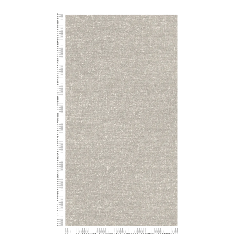 Tekstiilse välimusega ja kerge tekstuuriga beeži värvi tapeet, 1406305 AS Creation