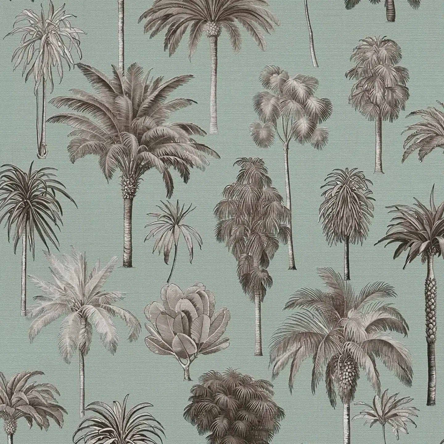 Close-up: sage green wallpaper with tropical palm motif and texture. SKU: 3012241, AS Creation.