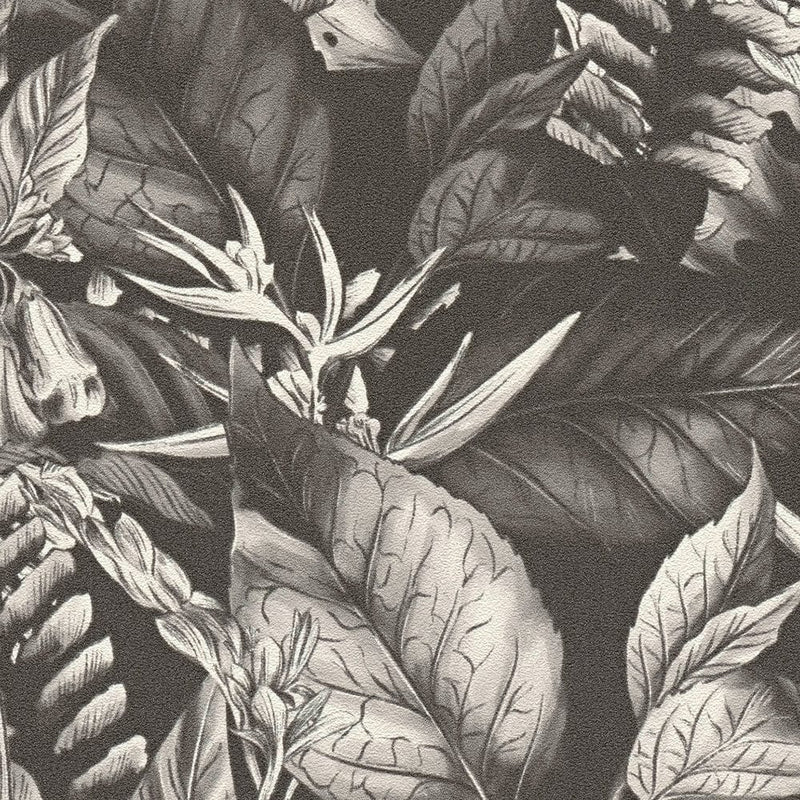 Trooppiset lehdet ja kukat taustakuva: musta ja valkoinen, 1402014 AS Creation