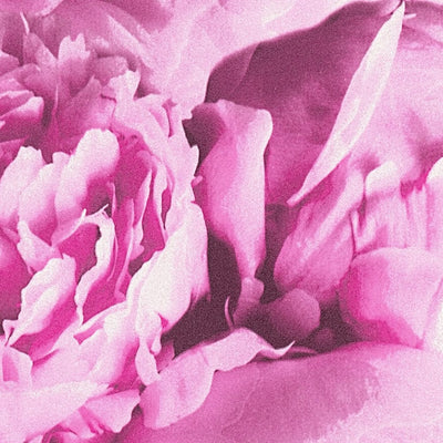 Tapetes ar ziediem koši rozā krāsā, AS Creation 1332335 AS Creation