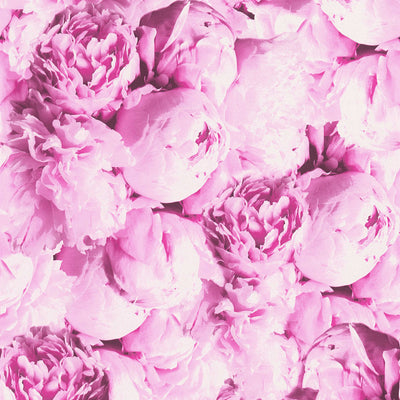 Wallpaper with flowers in bright pink, AS Creation 1332335 AS Creation