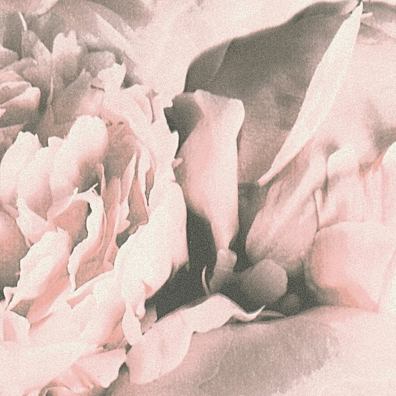 Tapetai su švelniai rožinės spalvos gėlėmis, AS Creation 1332336 AS Creation