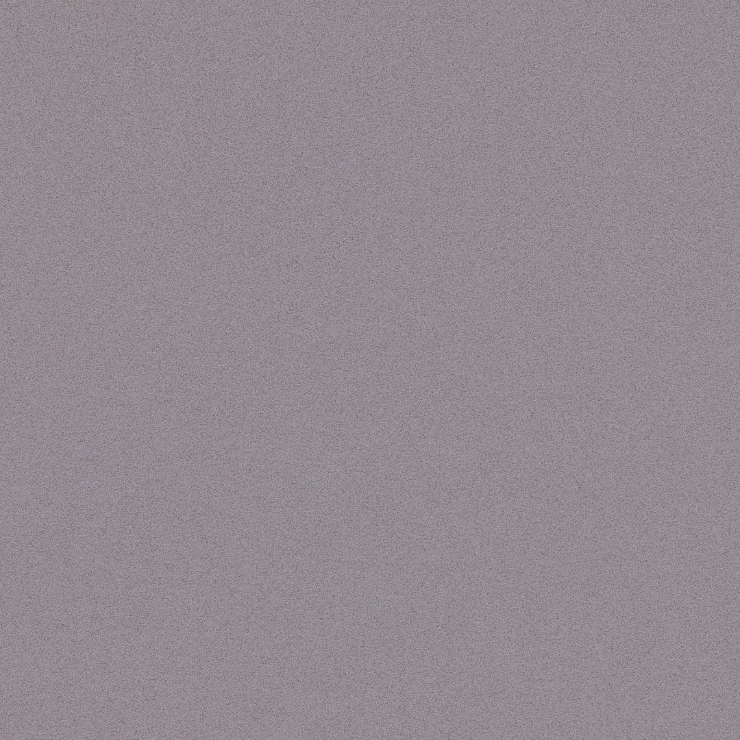 Tapetes ar matētu virsmu baložu pelēkā krāsa AS 368998 AS Creation