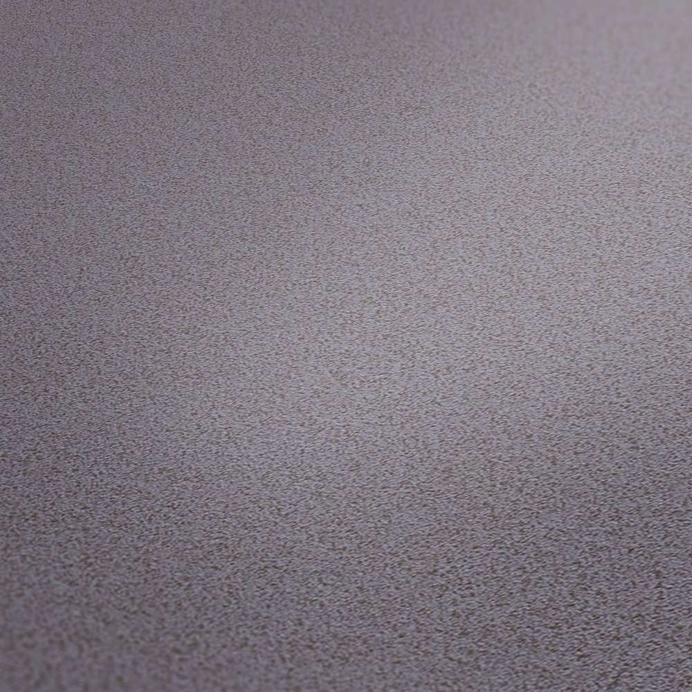 Tapetes ar matētu virsmu baložu pelēkā krāsa AS 368998 AS Creation