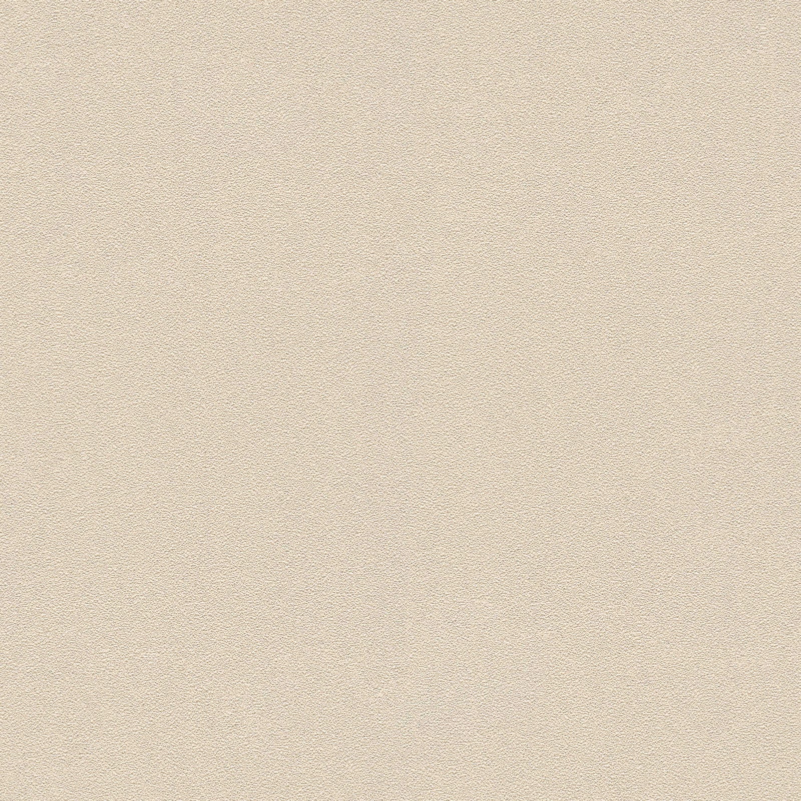 Vienkrāsainas tapetes dabiskā krāsā un struktūru - bēšas AS 372724 AS Creation
