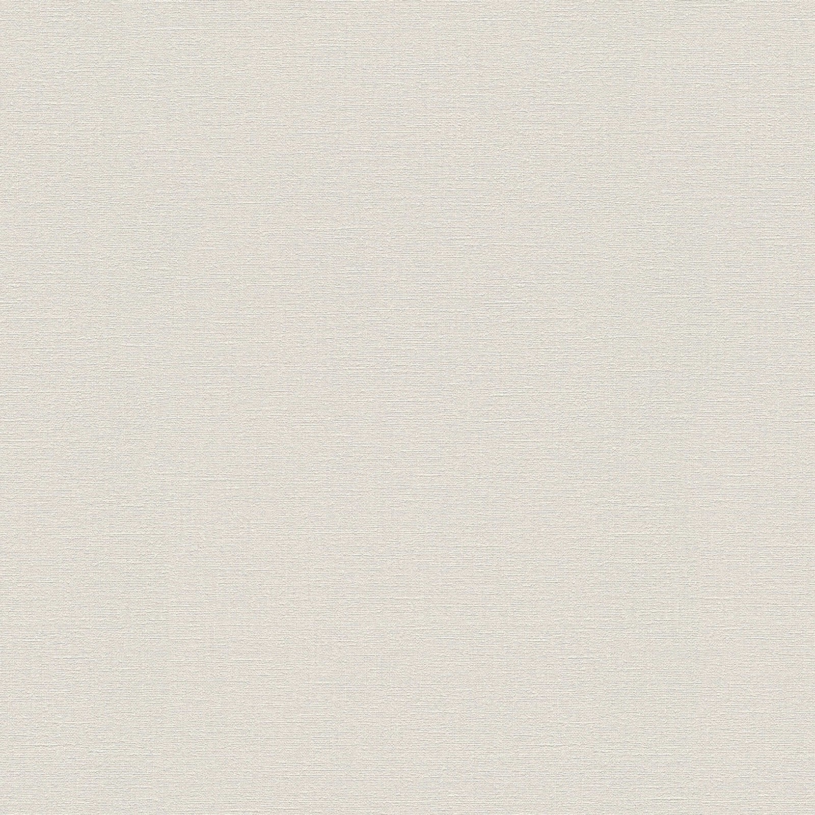 Teksturētas tapetes AS Creation pelēkā krāsā AS 336095 AS Creation