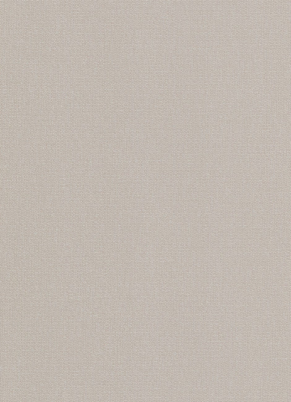 Lētas tapetes dūmakaini pelēkā, taupe krāsā 2362466 Erismann