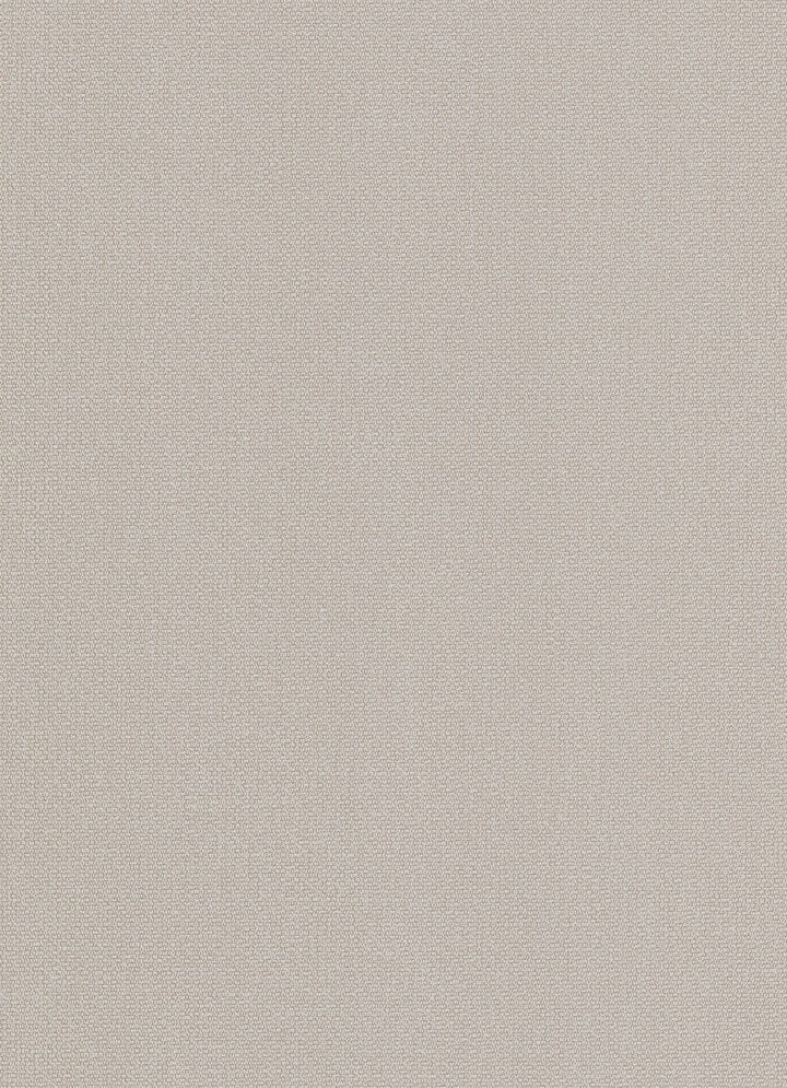 Lētas tapetes dūmakaini pelēkā, taupe krāsā 2362466 Erismann