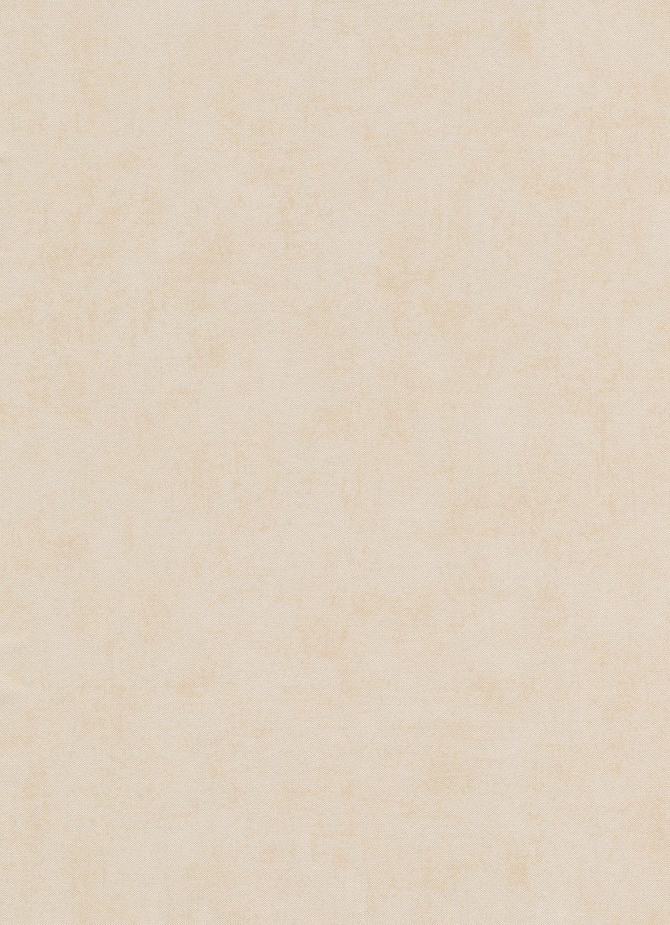Vienkrāsainas tapetes Erismann bēšā krāsā, 634002 Erismann