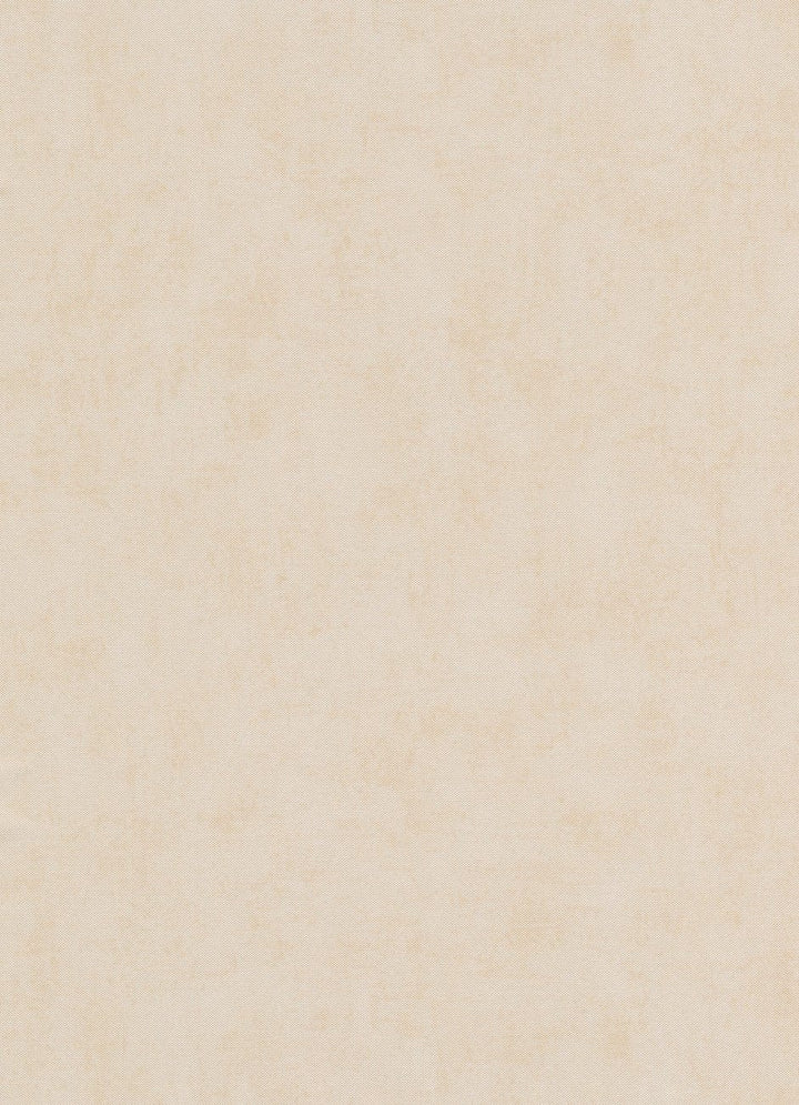 Vienkrāsainas tapetes Erismann bēšā krāsā, 634002 Erismann