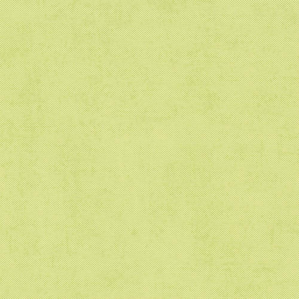 Vienkrāsainas tapetes Erismann zaļā krāsā, 634007 Erismann