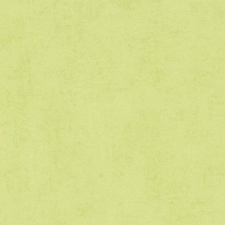 Vienkrāsainas tapetes Erismann zaļā krāsā, 634007 Erismann