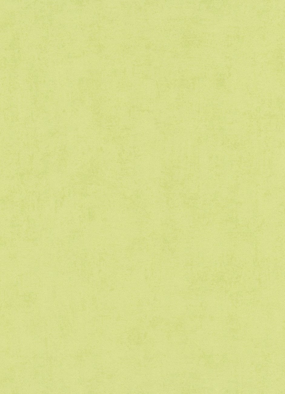 Vienkrāsainas tapetes Erismann zaļā krāsā, 634007 Erismann