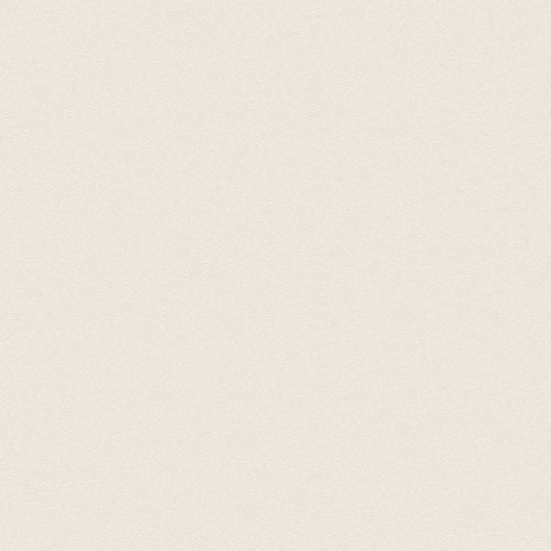 Tapetes krēmkrāsas krāsā ar ziloņa ādas struktūru, AS 309112 AS Creation