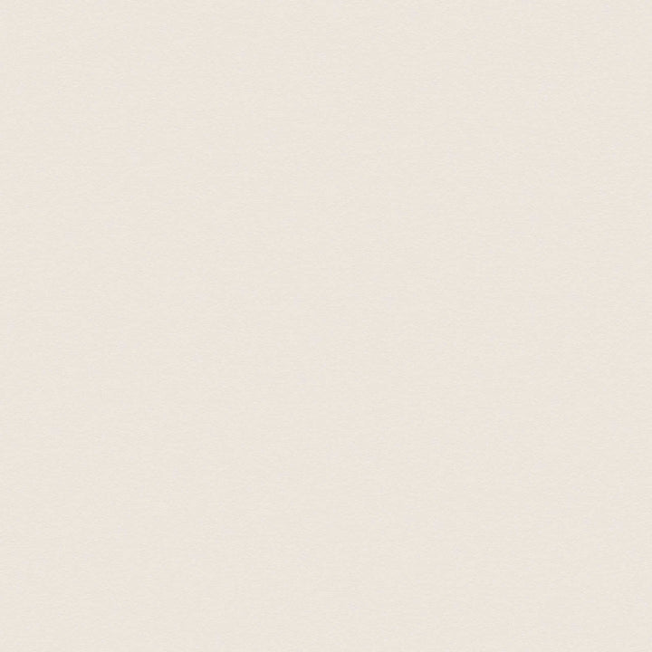 Tapetes krēmkrāsas krāsā ar ziloņa ādas struktūru, AS 309112 AS Creation