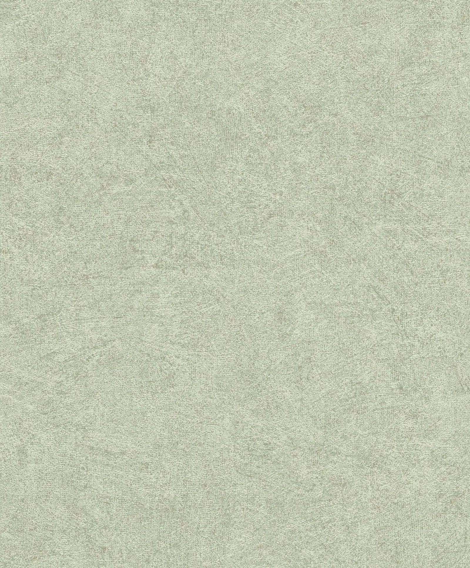 Tapetes RASCH  ar smalku un tekstūru, zaļā krāsā, 699821 RASCH