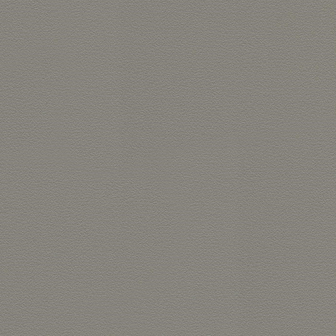 Tapetes RASCH brūni pelēkā krāsā, 3047640 RASCH