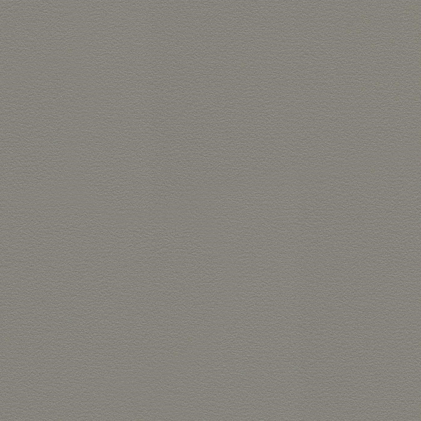 Tapetes RASCH brūni pelēkā krāsā, 3047640 RASCH