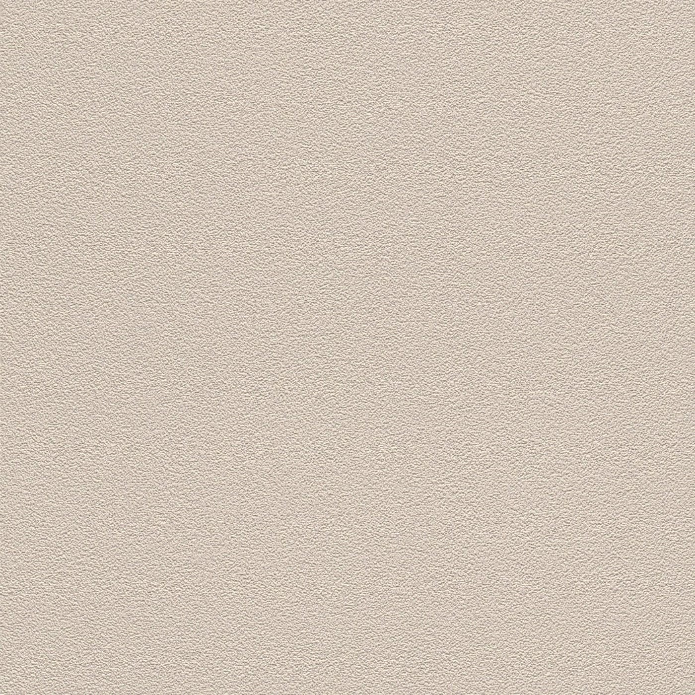 Tapetes RASCH taupe krāsā, 1624014 - nopirkt internetā RASCH