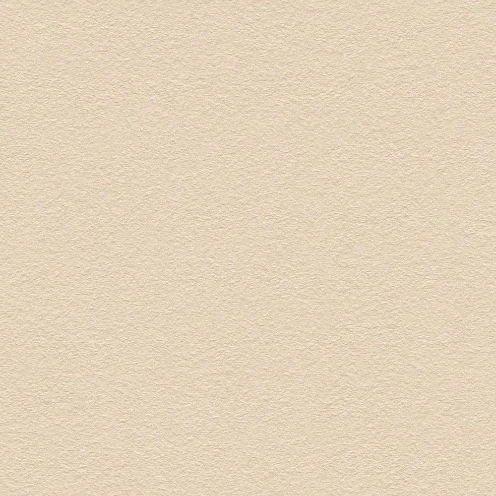 Tapetes - Vienkrāsainas tapetes ar matētu un gludu virsmu bēšā krāsā AS Creation