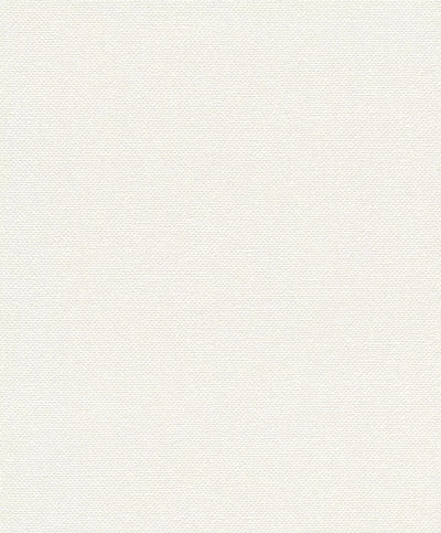 Monochrome matte wallpaper RASCH, white, 1141446 RASCH