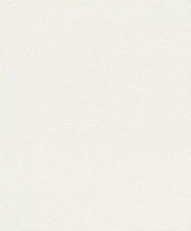 Monochrome matte wallpaper RASCH, white, 1141446 RASCH