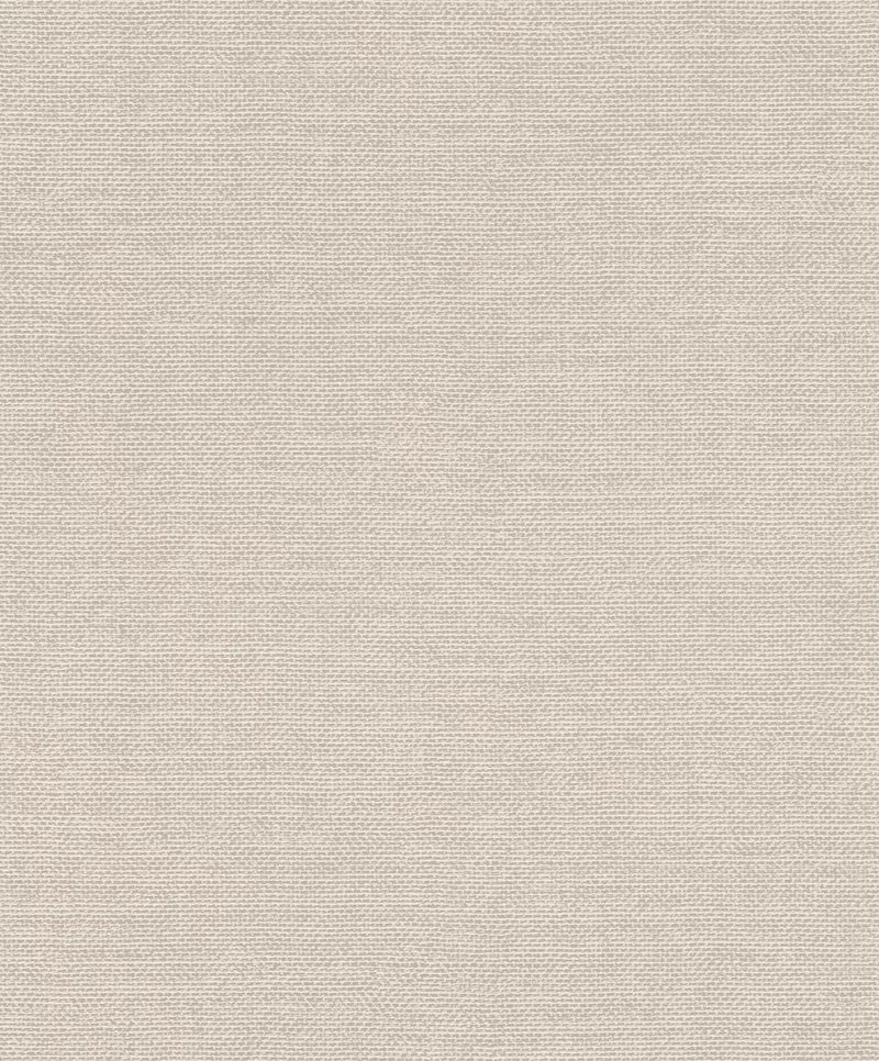 Monochrome matte wallpaper RASCH, grey-beige, 1141514 RASCH