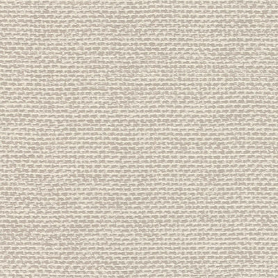 Vienkrāsainas matētas tapetes RASCH,  pelēka-bēša krāsā, 1141514 RASCH